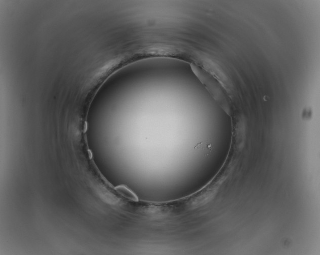 X0000093260305200709261737