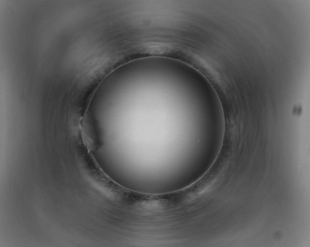 X0000093260307200709261737