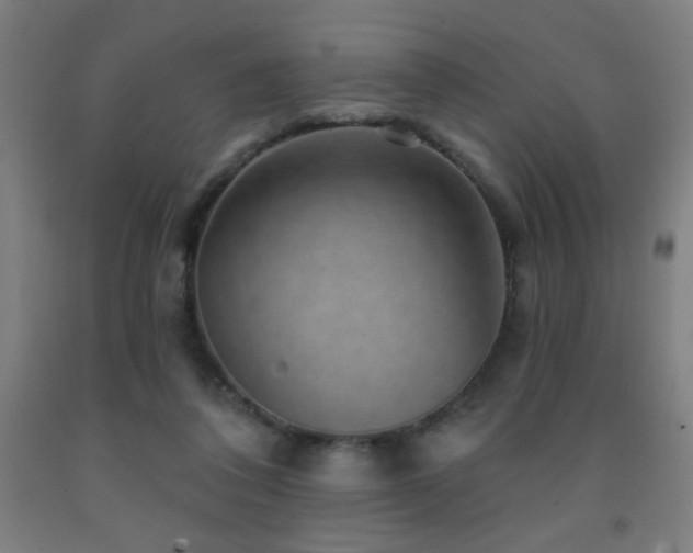 X0000093260308200709261737