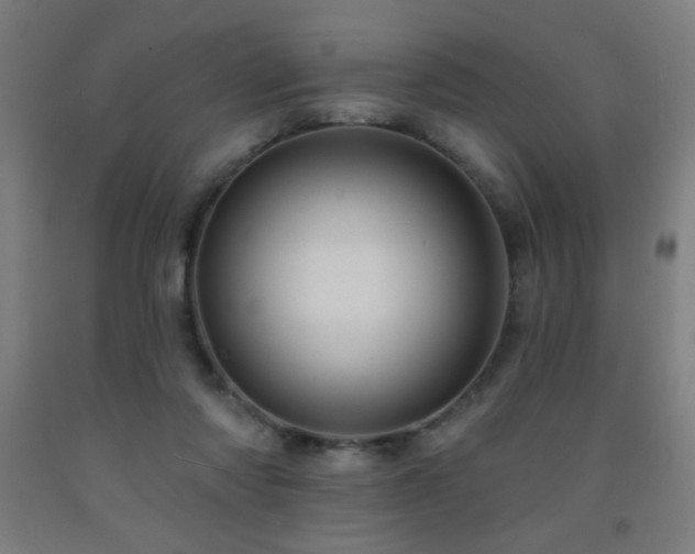 X0000093260310200709261737