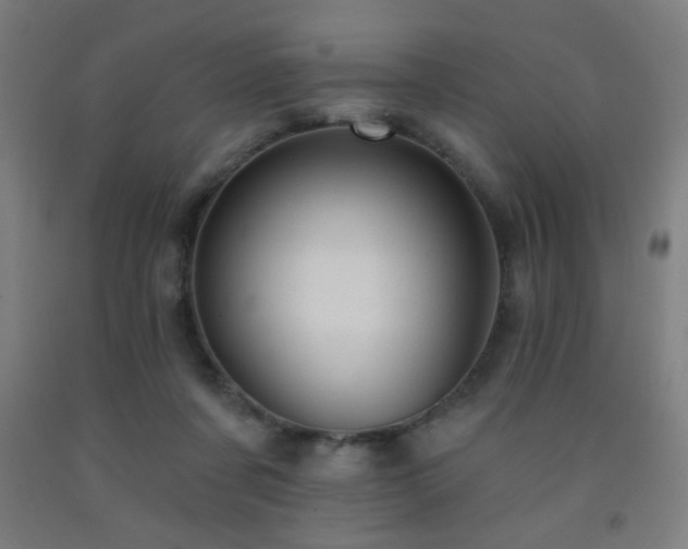 X0000093260311200709261737