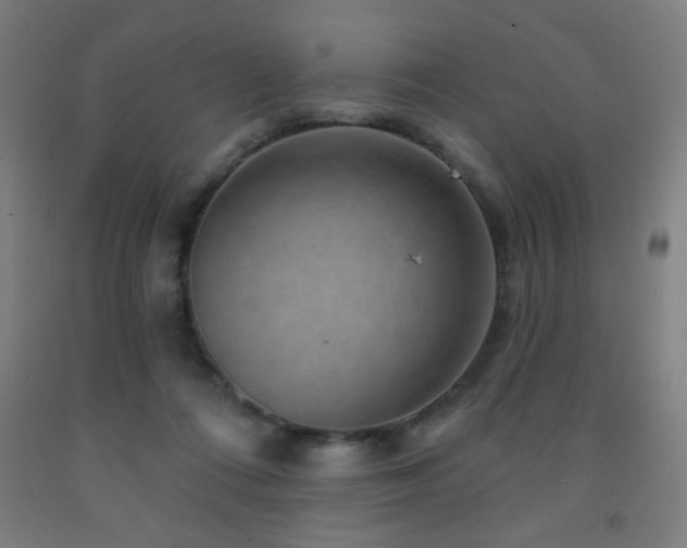 X0000093260312200709261737