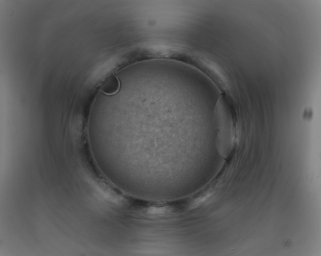 X0000093260314200709261737