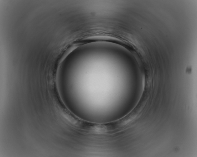 X0000093260317200709261737