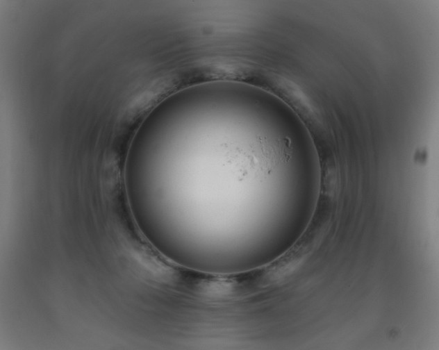 X0000093260318200709261737