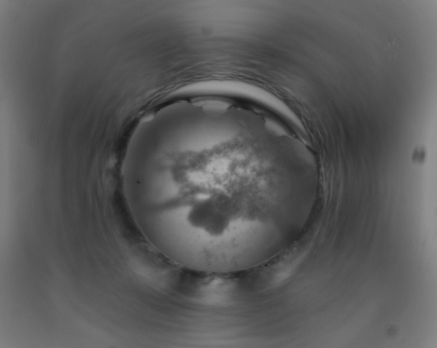X0000093260319200709261737