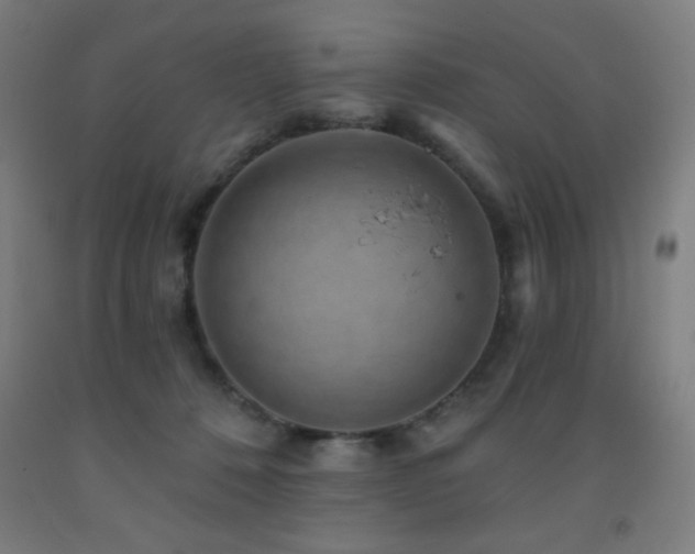 X0000093260320200709261737