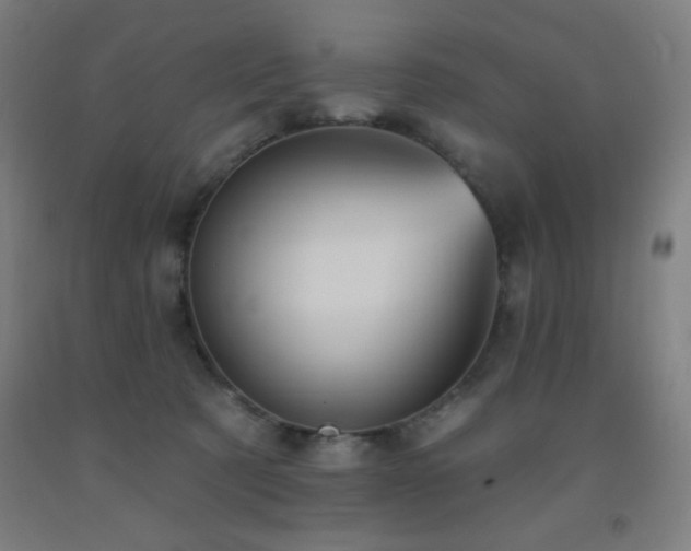 X0000093260321200709261737