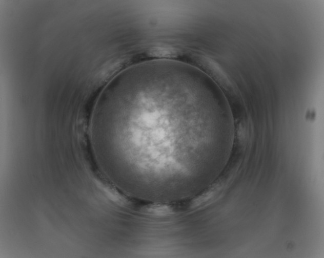 X0000093260322200709261737