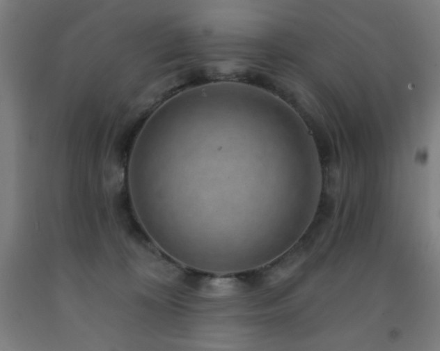 X0000093260324200709261737