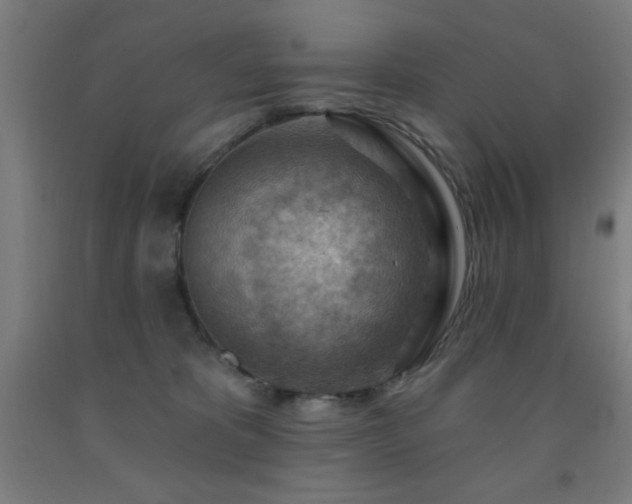 X0000093260325200709261737