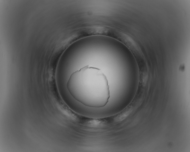 X0000093260326200709261737