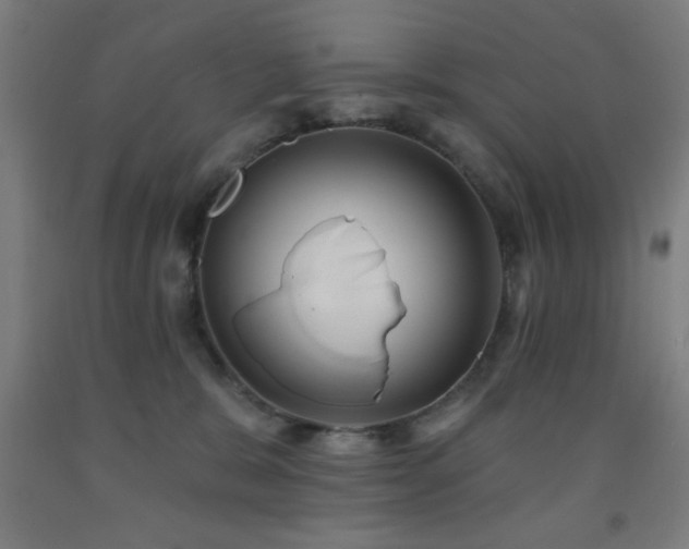 X0000093260327200709261737