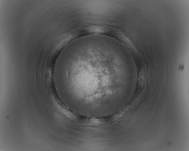 X0000093260330200709261737