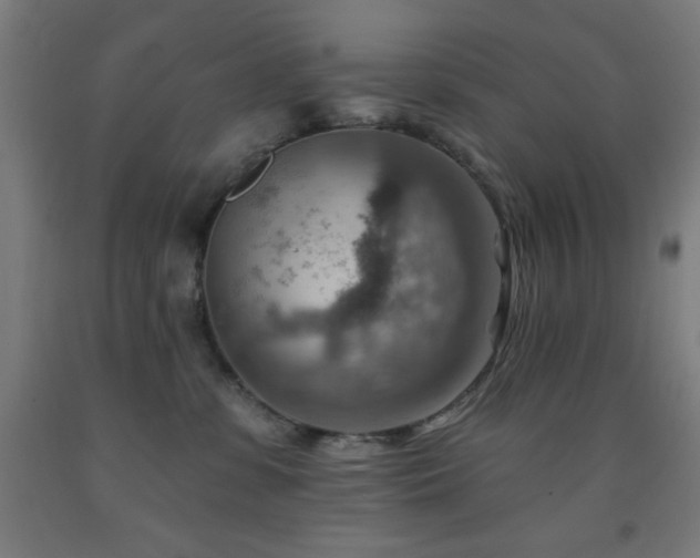 X0000093260331200709261737