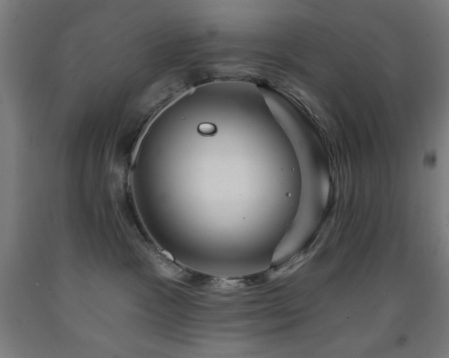 X0000093260333200709261737