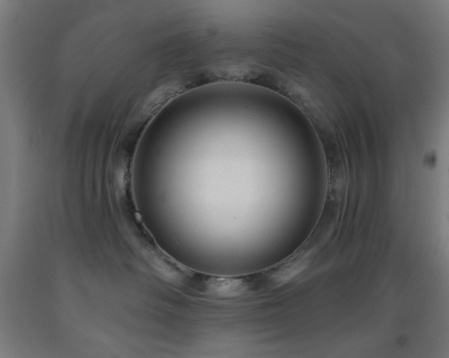 X0000093260334200709261737
