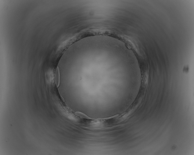 X0000093260335200709261737