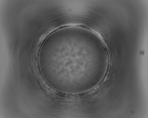 X0000093260337200709261736