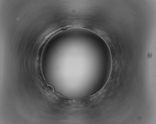 X0000093260338200709261736