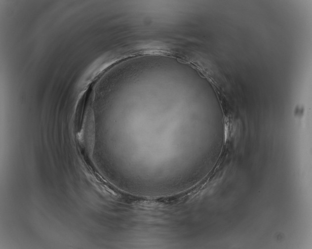 X0000093260339200709261736