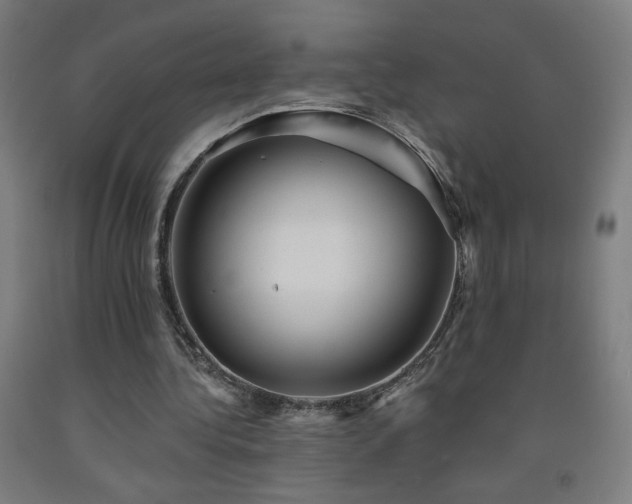 X0000093260340200709261736