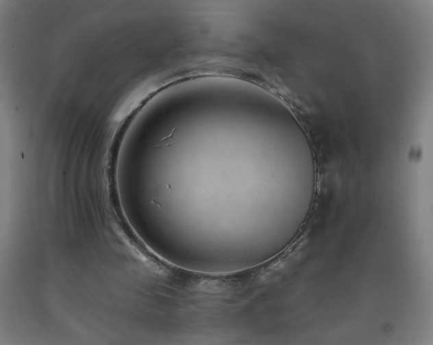X0000093260341200709261736