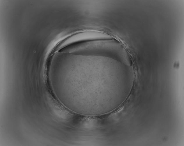 X0000093260343200709261736
