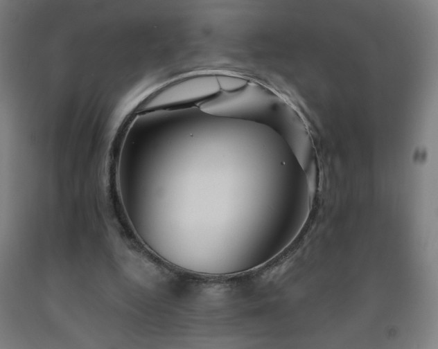 X0000093260344200709261736