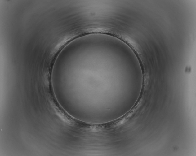 X0000093260345200709261736