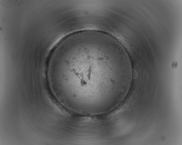 X0000093260347200709261736