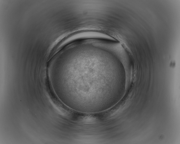 X0000093260348200709261736