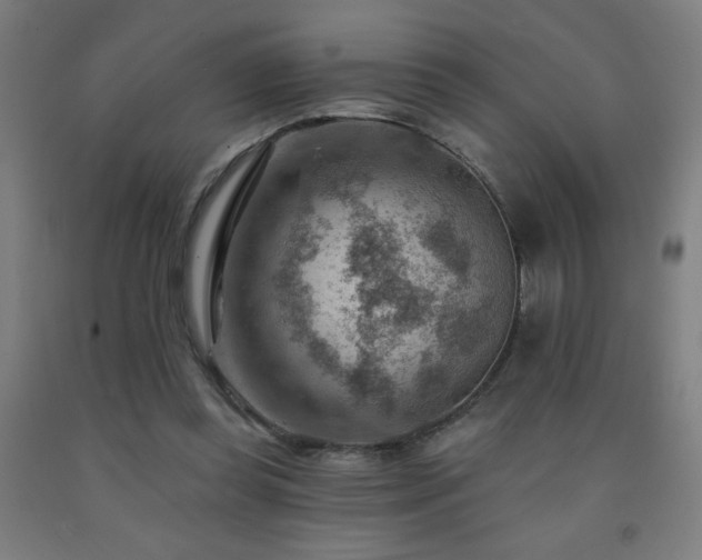 X0000093260349200709261736