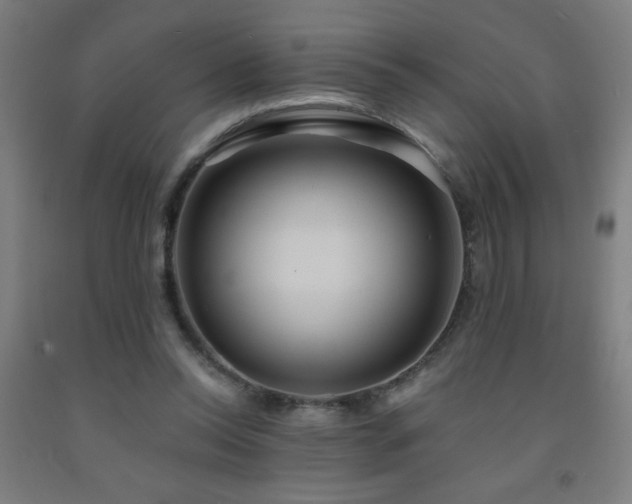 X0000093260350200709261736