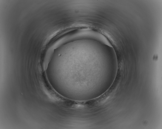 X0000093260352200709261736