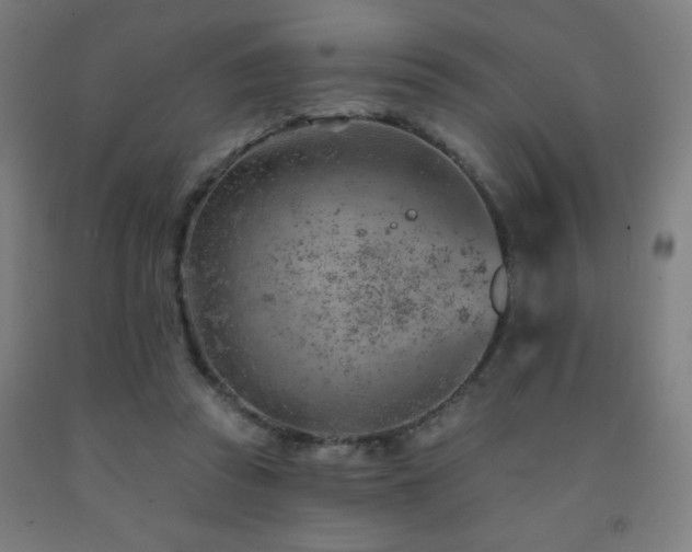 X0000093260353200709261736