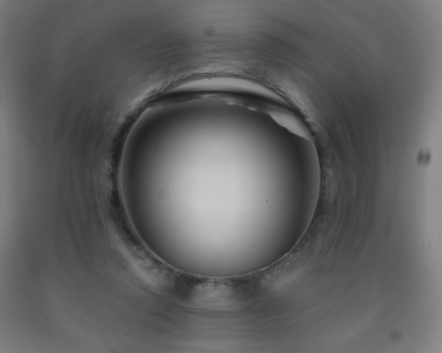 X0000093260354200709261736