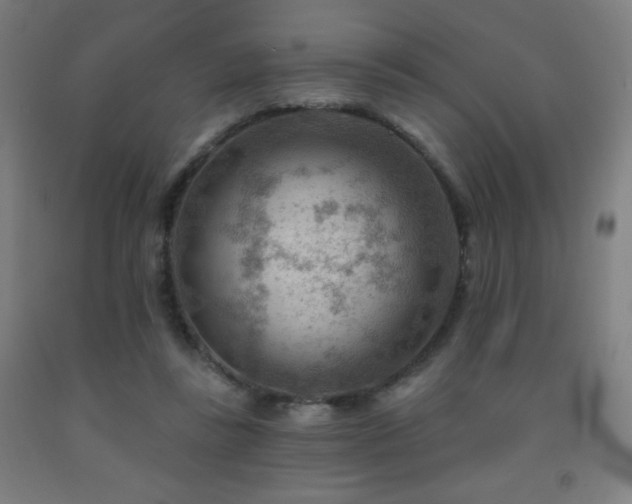 X0000093260355200709261736
