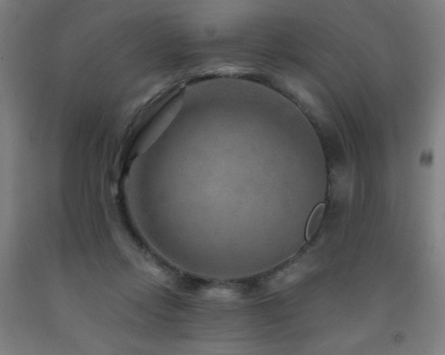X0000093260358200709261736