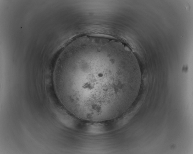 X0000093260359200709261736