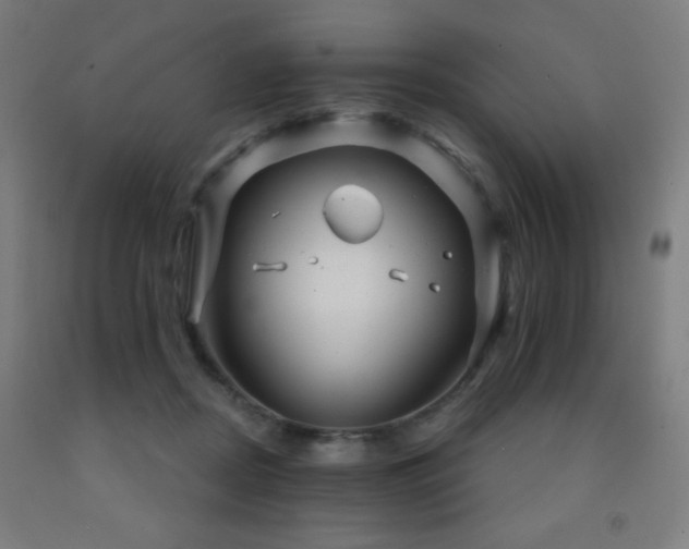 X0000093260362200709261736