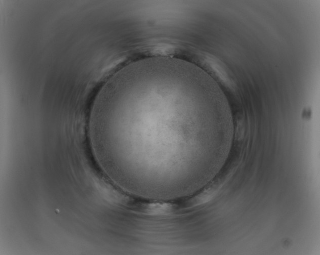 X0000093260363200709261736