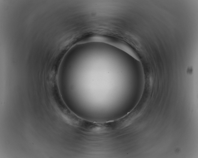 X0000093260364200709261736