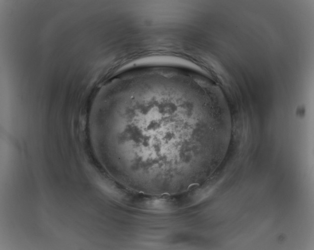 X0000093260365200709261736