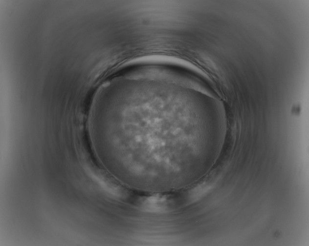 X0000093260366200709261736