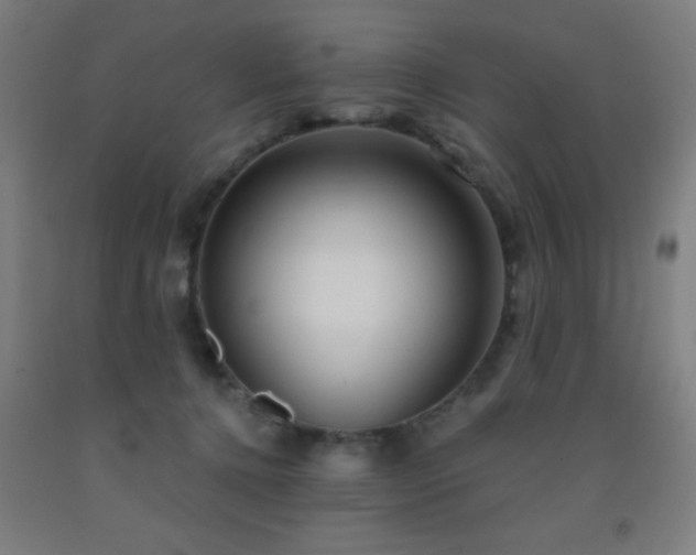 X0000093260368200709261736