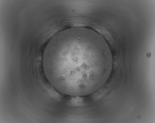 X0000093260369200709261736
