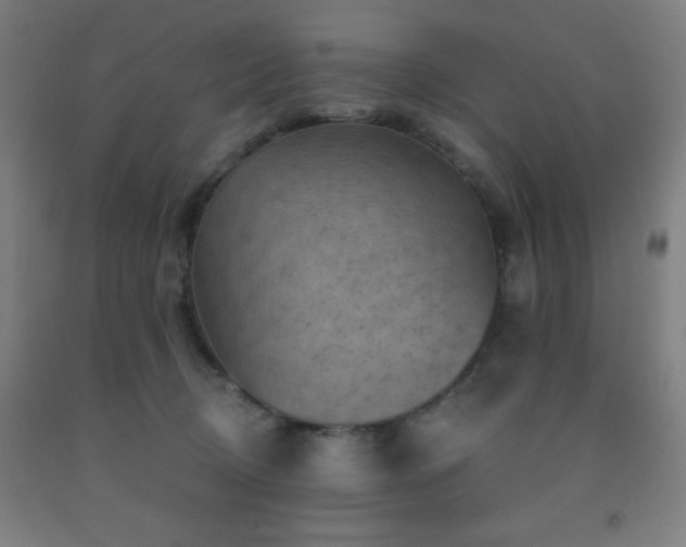 X0000093260370200709261736
