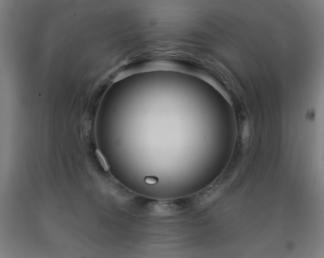 X0000093260372200709261736