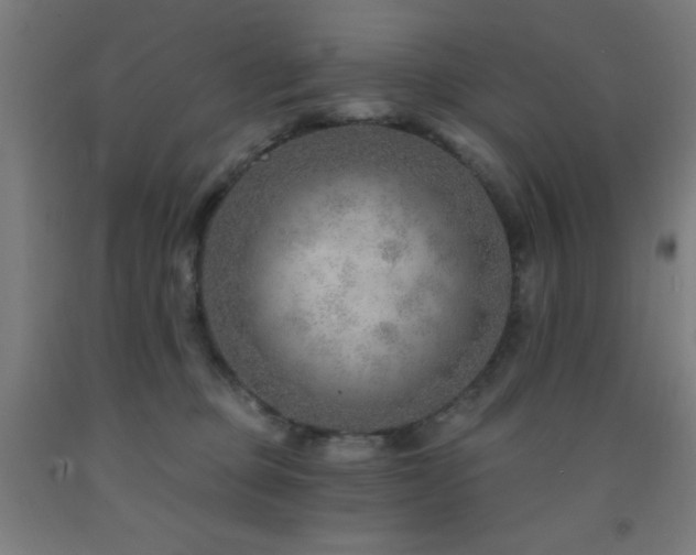 X0000093260373200709261736